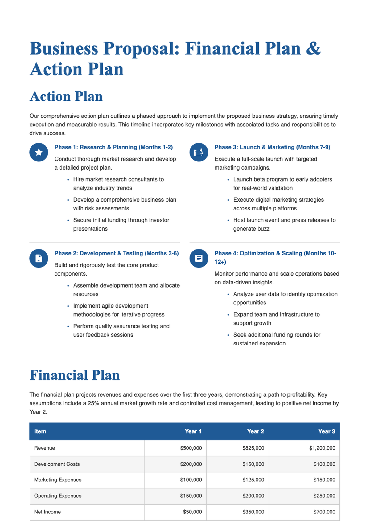 Business financial and action plan with 3 year projections and phased milestones_variant_2